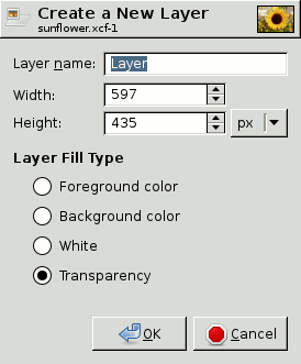The “New Layer” dialog