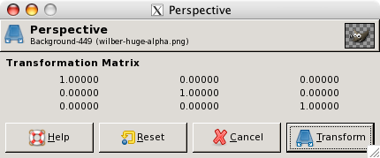 The information window of the “Perspective” tool
